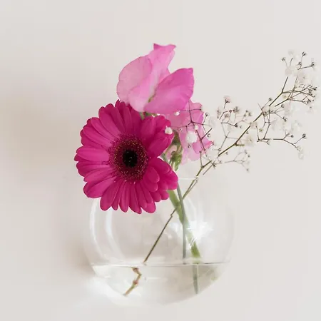 Empire Garden View 4* אמסטרדם