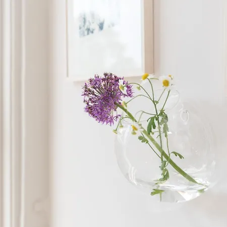 Empire Garden View بيت ضيافة 4*