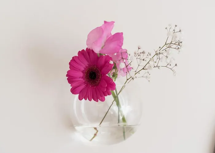 Empire Garden View 4* アムステルダム